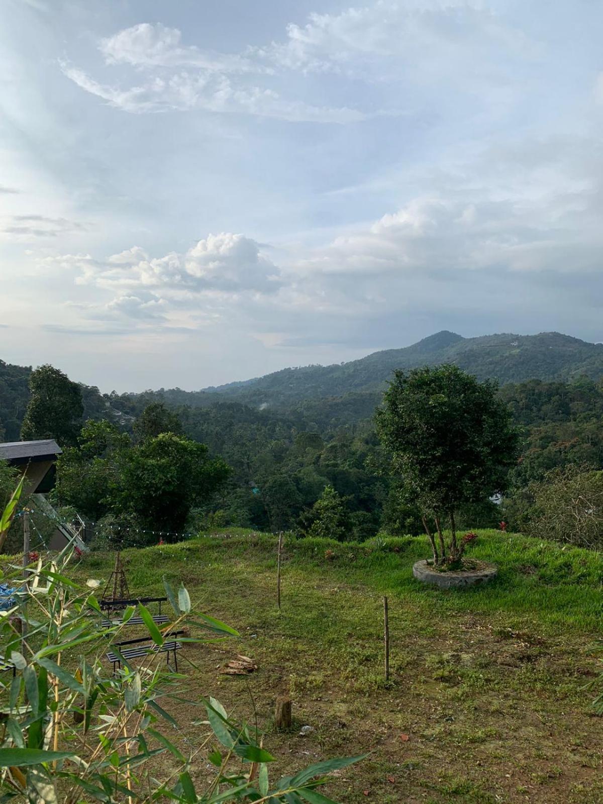 Misty Hideout Bed and Breakfast Kakkadampoyil Εξωτερικό φωτογραφία