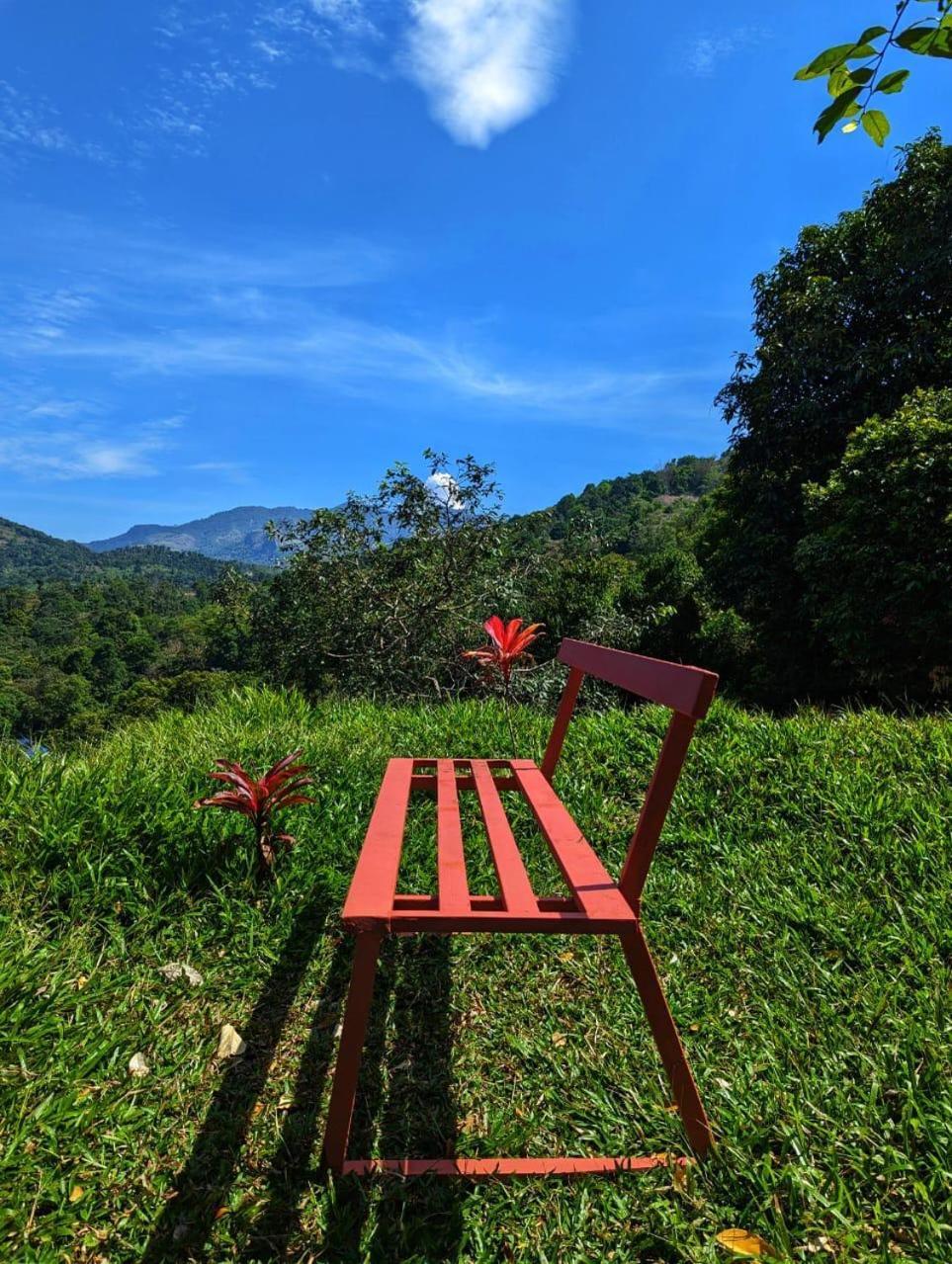 Misty Hideout Bed and Breakfast Kakkadampoyil Εξωτερικό φωτογραφία